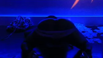 sexy twerking..after hours newark nj....