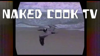 Naked Cook TV Channel