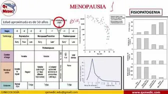 Qx ginecologia - 495537816