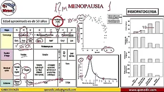 Qx ginecologia - 495537816 #3