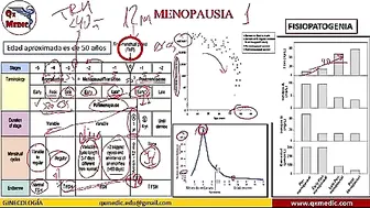 Qx ginecologia - 495537816 #4