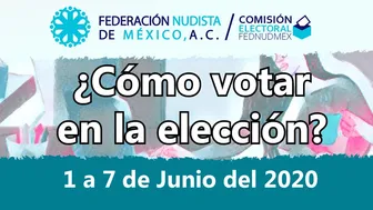 ¿Cómo votar en la elección?