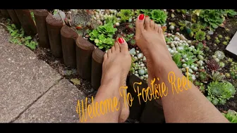 Footsie Reel | Massages, Pedicures, Modelling & Requests