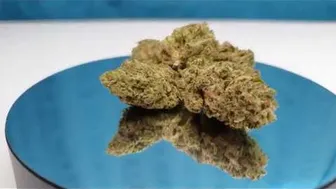 Hemp Hash - Super Juicy Tootie Fruity CBD Flower Showcase