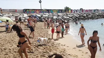 Playa Perros Barcelona #3