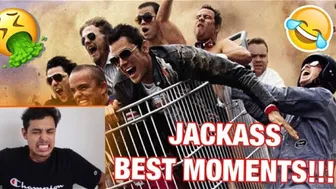 JACKASS BEST MOMENTS!!!!(Reaction)????