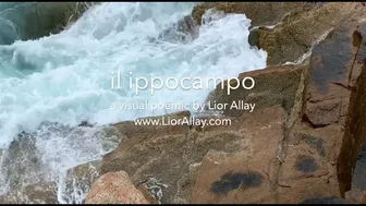 Il Ippocampo - Visual Poemic PREVIEW