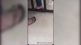 Pre-Spring 2020 Trio Candid LATINA MILFs Feet Very Beautiful Sexy Feet N Toes At The Laundromat #4