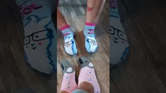 Sexy Socks Llama and Koala Masks on Feet Foot Fetish