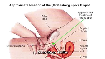 Understand G-Spot Orgasm and Achieve it in 6 mins