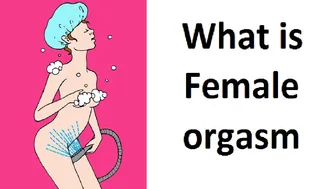 What is Female Orgasm /sexual organs