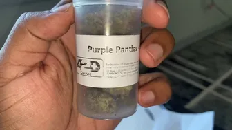 PURPLE PANTIES ???????? • 420 DANK STRAIN REVIEW